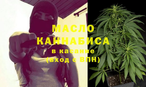 сатива Беломорск