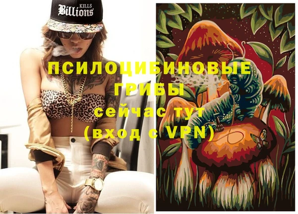 крисы Балахна