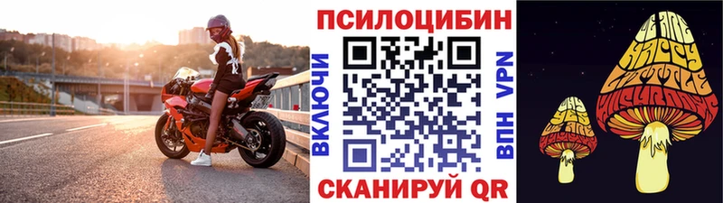 Галлюциногенные грибы Cubensis  купить закладку  мега зеркало  Арсеньев 