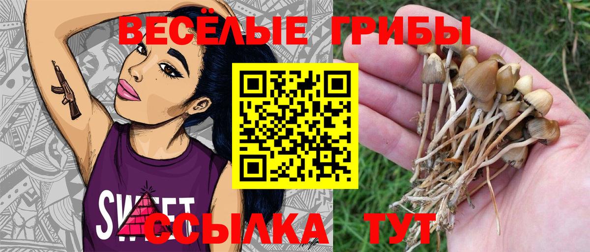 Арсеньев  Псилоцибиновые грибы Magic Shrooms  Вход с VPN  Псилоцибиновые грибы мухоморы 