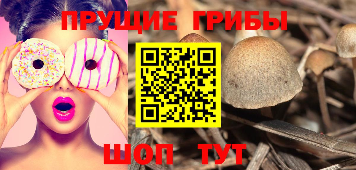 Галлюциногенные грибы мухоморы Арсеньев